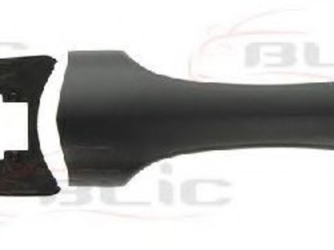 Maner usa FORD FOCUS Clipper (DNW) (1999 - 2007) BLIC 6010-03-028406P