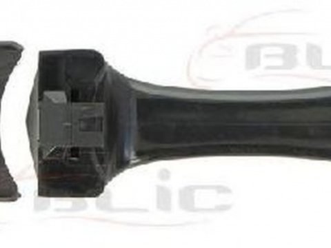 Maner usa FORD FOCUS combi DNW BLIC 601003028405P