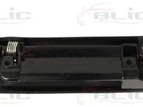 Maner usa FORD TRANSIT caroserie E BLIC 601003024401P