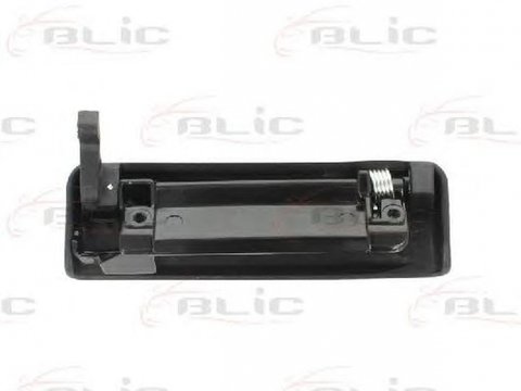 Maner usa FORD TRANSIT platou sasiu E BLIC 601003024402P