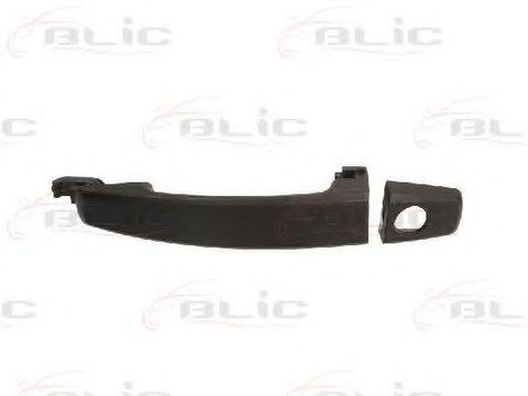 Maner usa OPEL ASTRA H TwinTop (L67) (2005 - 2016) BLIC 6010-04-048401P