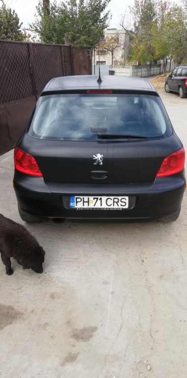 Maner usa stanga spate Peugeot 307 2005 hatchback 1.6