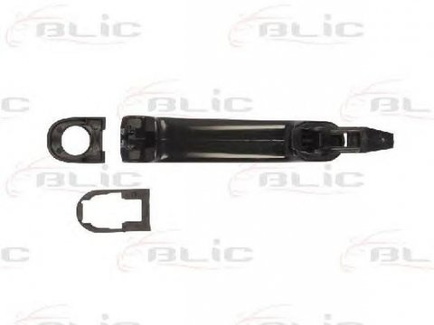 Maner usa VW GOLF IV 1J1 BLIC 601010010401P