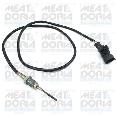MEAT & DORIA Senzor, temperatura gaze evacuare 12450 model IVECO DAILY VI platou / sasiu 2014 2015 2016 2017 2018 2019 2020 2021