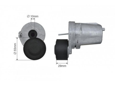 Mecanism Tensionare Curea Distributie, Bmw 5 (E60, 11287800334