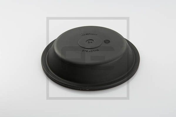 Membrana camera franare 20"