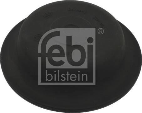 Membrana. cilindru frana Diafragma servo-motorie MERCEDES NG SCANIA 2 3 3 BUS 4 4 BUS K BUS N BUS PGRT VOLVO FM9 SCANIA 3 - series (P_LB6X2), Autobuz, 01.1988 - 12.1999 Febi Bilstein 06889
