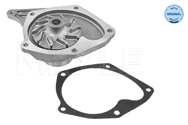 MEYLE Pompa de apa, racire motor 16-132200003 model RENAULT MEGANE II limuzina (LM0/1_) 2003 2004 2005 2006 2007 2008 2009 2010
