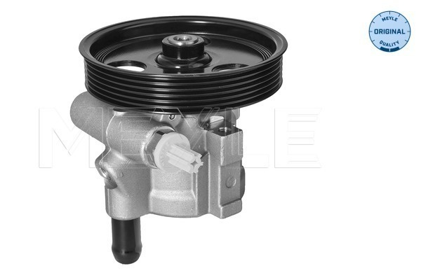 MEYLE Pompa hidraulica, sistem de directie 16-146310006 model DACIA LOGAN EXPRESS (FS_) 2009 2010 2011 2012 2013 2014 2015