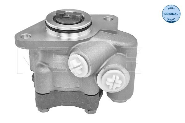 MEYLE Pompa hidraulica, sistem de directie 2146310002 pentru CITROEN JUMPER II caroserie 2006 2007 2008 2009 2010 2011 2012 2013 2014 2015