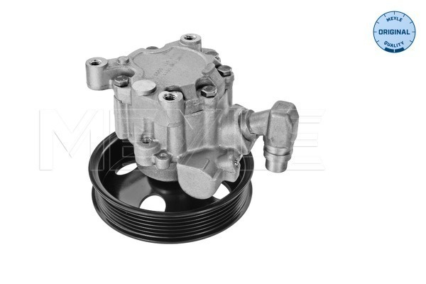 MEYLE Pompa hidraulica, sistem de directie 0146310003 la masina MERCEDES-BENZ SL (R230) 2003 2004 2005 2006 2007 2008 2009 2010 2011 2012