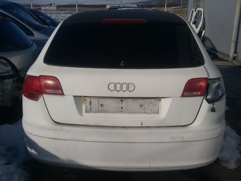 Mocheta portbagaj Audi A3 8P 2005 Hatchback 1896