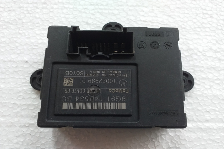 Modul control usa spate dreapta 1002299901 D171L3 