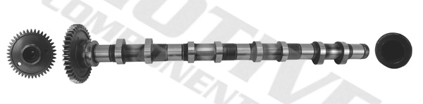 MOTIVE Ax cu came T4342 pentru masina BM