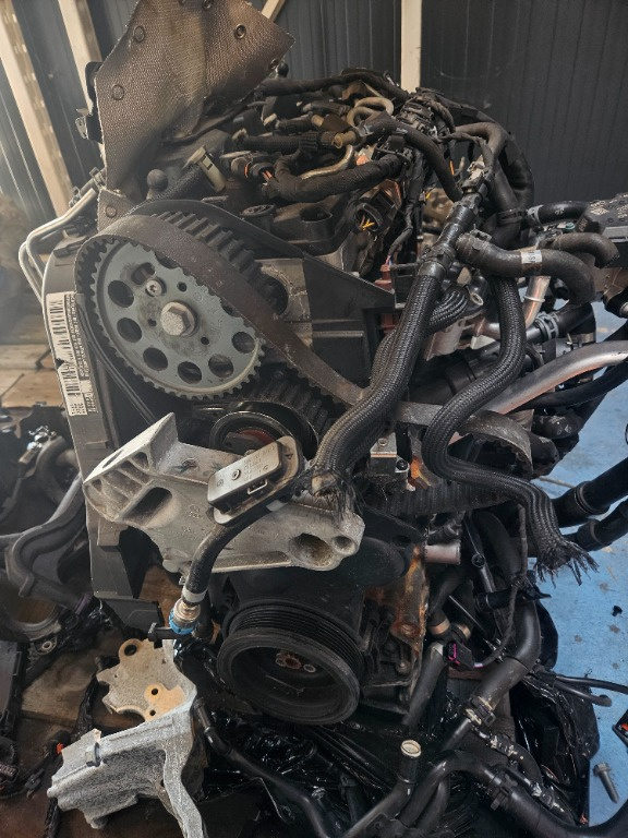 Motor 1.6 TDI 115 cp cod DGT 40 000 km din 2018 2019 2020 vw Golf 7 Skoda Octavia 3 Seat Leon 3 Audi A3 8v