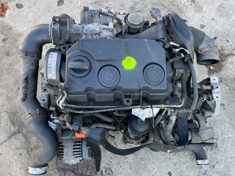 Motor 1.9 TDI BLS VW Passat B6 / Skoda Octavia 2 / Golf 5 / Audi A3 8P / Seat Leon