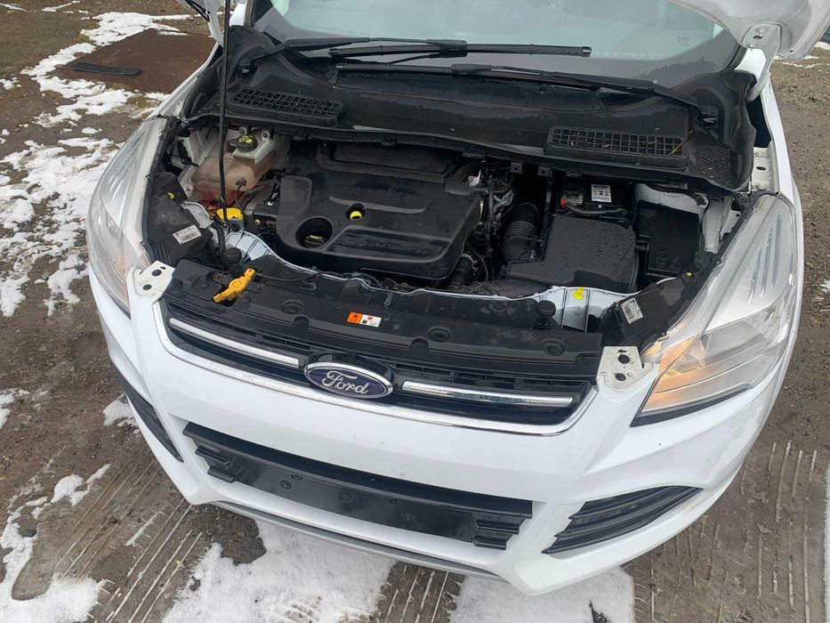 Motor 2.0 tdci ford kuga cod TXMA din dezmembrari