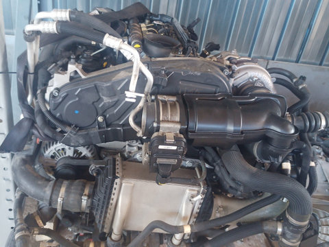 Motor 55271838/Alfa Romeo Stelvio Q,4,2.2 D 2017