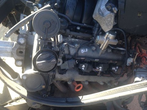 Motor audi a3 1.6b BLF