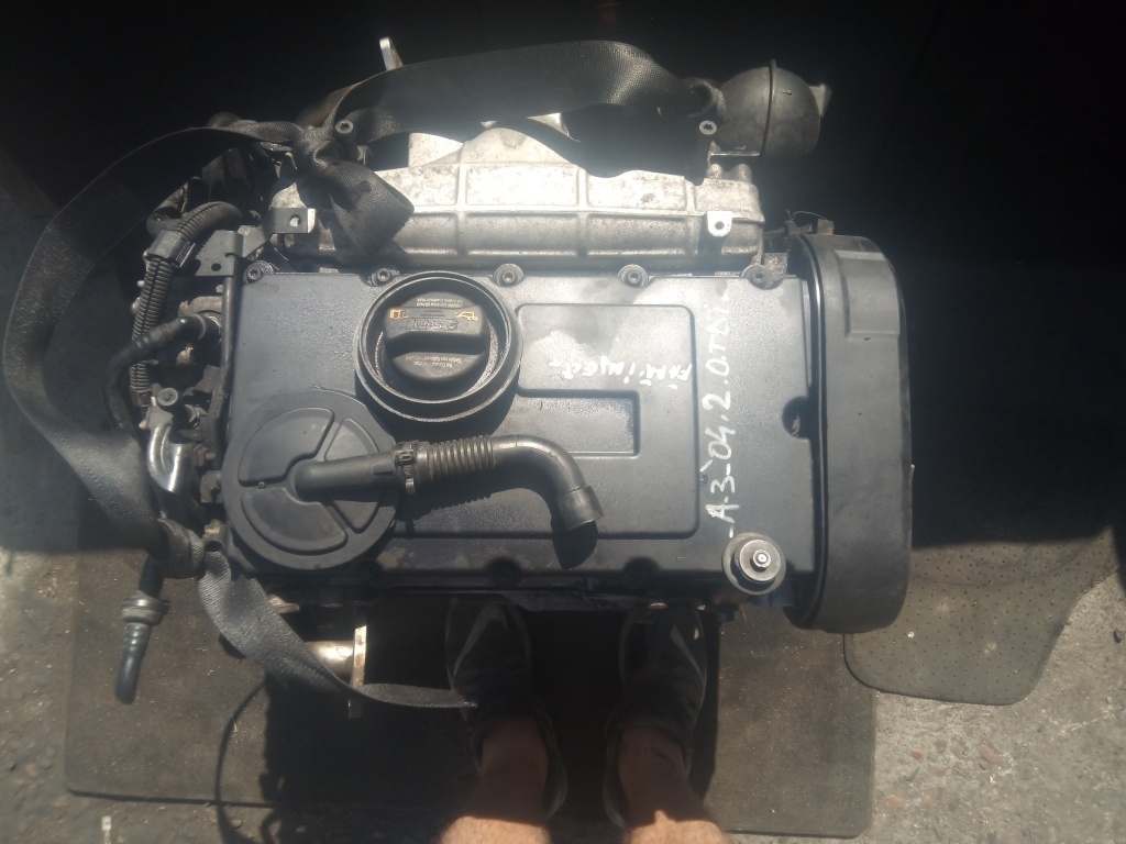 Motor Audi A3 2.0 TDI 2004