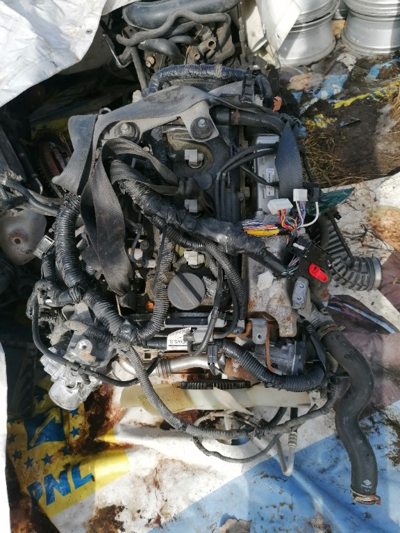 Motor chiulasa nissan navara pathfinder cabstar x trail maxity