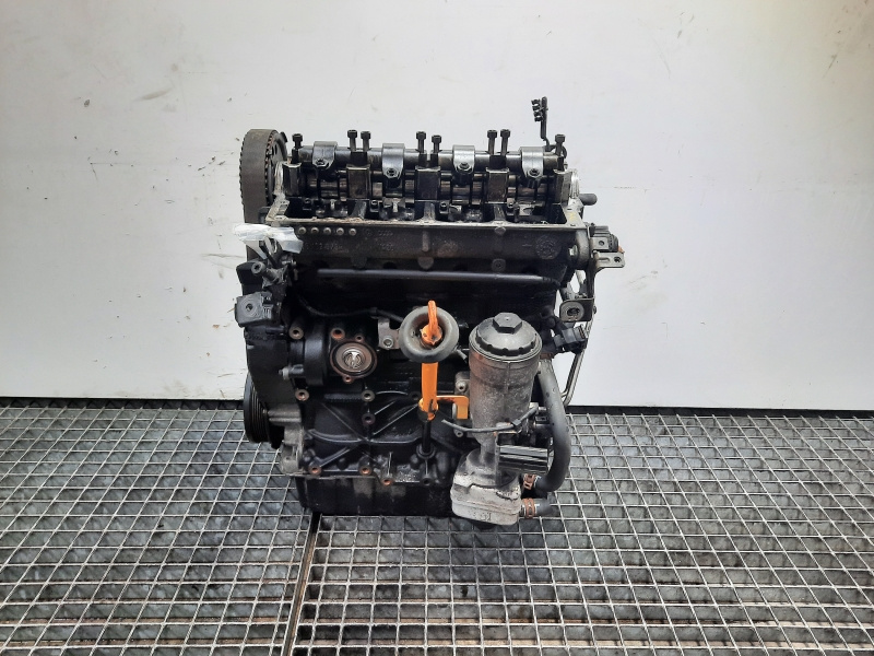 Motor, cod BKC, Skoda Octavia 2 (1Z3) 1.9 TDI (idi:485639)