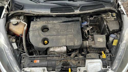 Motor complet fara anexe Ford Fiesta 201
