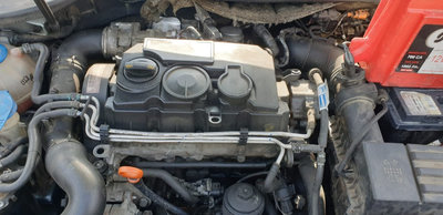 Motor complet fara anexe Volkswagen Golf 5 1.9 TDi