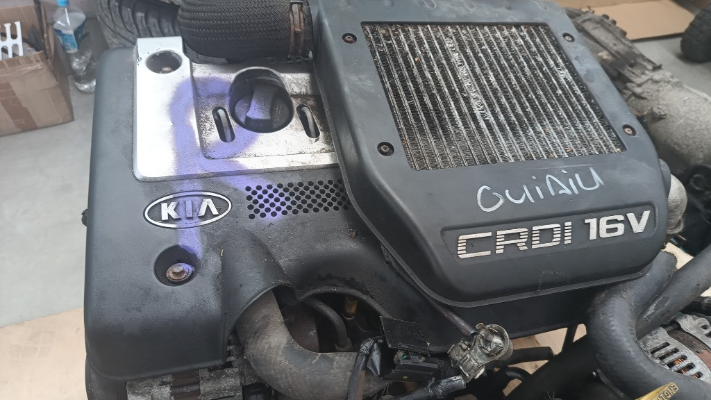 Motor cu injectie Kia Carens 2.0 CRDI D4