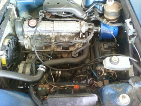 Motor dacia 1310