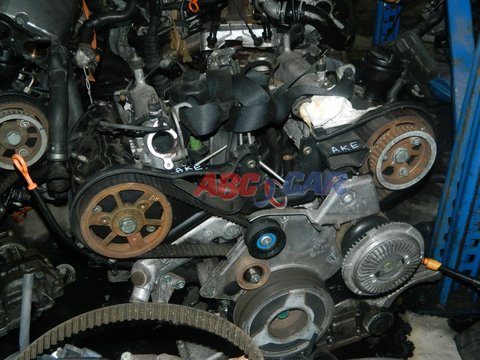 Motor fara anexe Audi A4 B6 2.5 TDI Cod: AKE