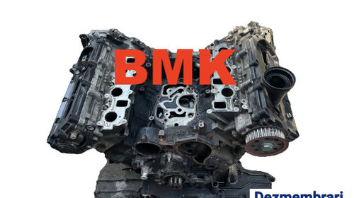 Motor fara anexe BMK BMK Volkswagen Phae
