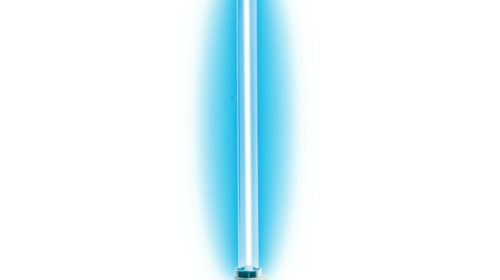 Neon color X-Eon 12V - 42cm - Albastru L