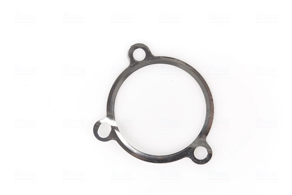 NISSENS Supapa EGR 98163 la RENAULT LAGU