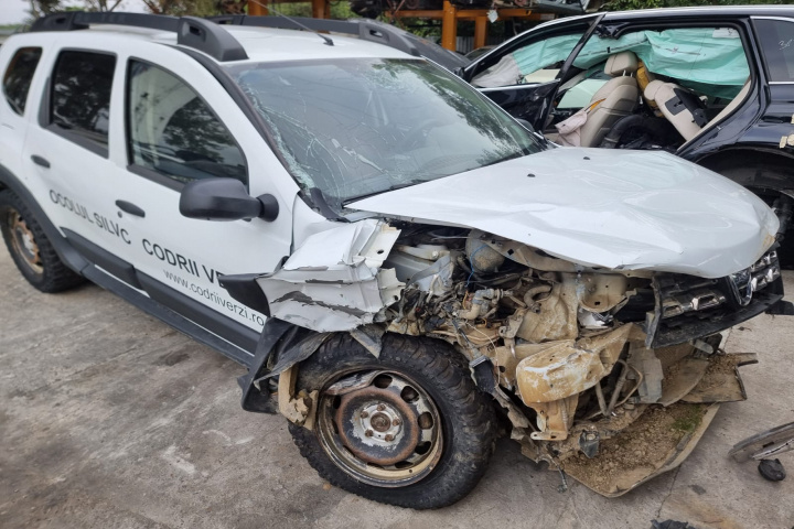 Oglinda dreapta completa Dacia Duster 20