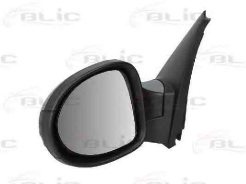Oglinda exterioara RENAULT CLIO III BR0/1 CR0/1 BLIC 5402-09-049361P