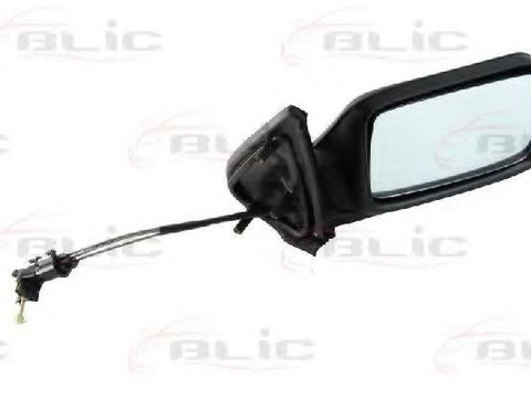 Oglinda exterioara VW GOLF 3 Estate (1H5) (1993 - 1999) BLIC 5402-04-1115126P