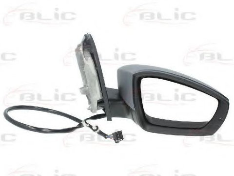 Oglinda exterioara VW POLO (6R, 6C) (2009 - 2016) BLIC 5402-04-1111116P