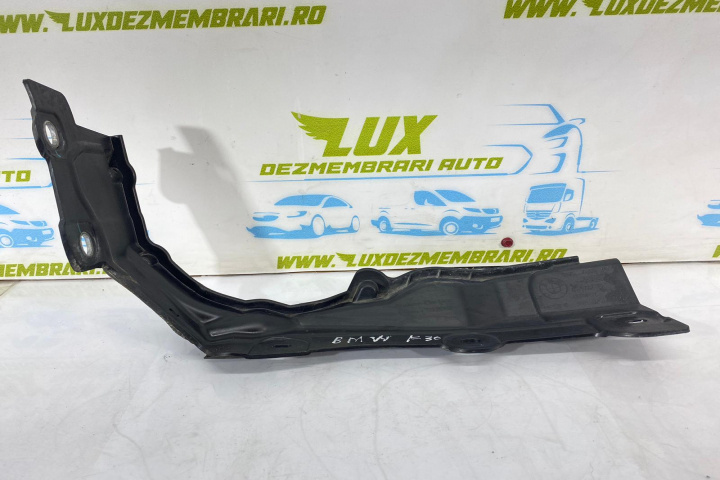Ornament 51757331242 BMW Seria 3 F30/F31/F34 [2011 - 2016]