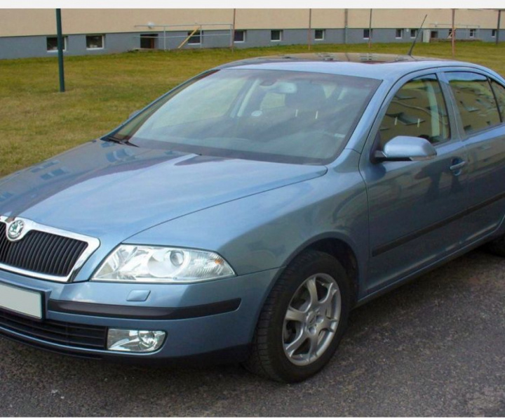 Ornament Skoda Octavia 2 [2004 - 2008] Liftback 5-usi 1.9 TDI DPF MT (105 hp) DEZMEMBREZ SKODA OCTAVIA II