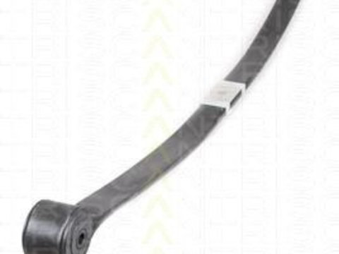 Pachet arc cu foi 8765 16040 TRISCAN pentru Ford Transit