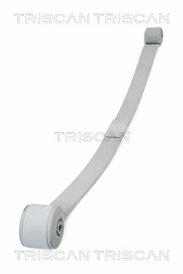 Pachet arc cu foi puntea spate (876516045 TRI) FORD