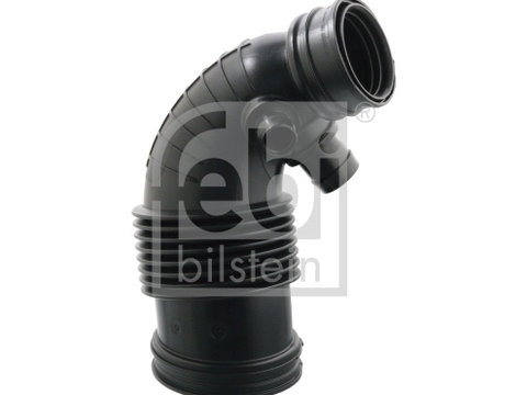 Palnie, filtru de aer (104354 FEBI BILSTEIN) BMW