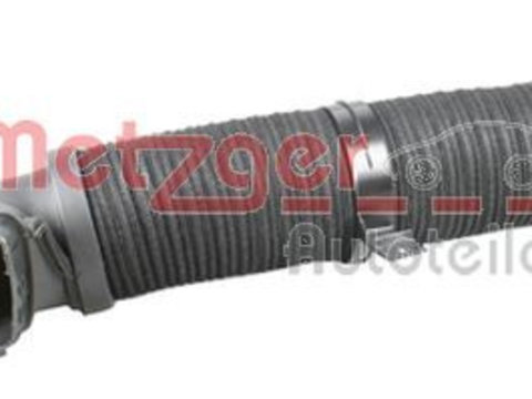 Palnie filtru de aer 2388036 METZGER pentru Mercedes-benz Clk Mercedes-benz Clc-class