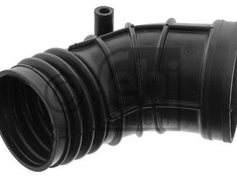 Palnie, filtru de aer BMW 3 cupe (E46) (1999 - 2006) FEBI BILSTEIN 46034