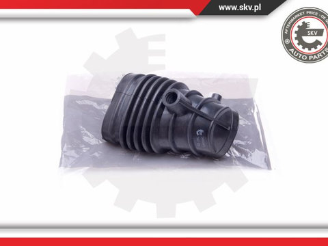 Palnie filtru de aer ; BMW 3 E46 1.8 ; 13711247829