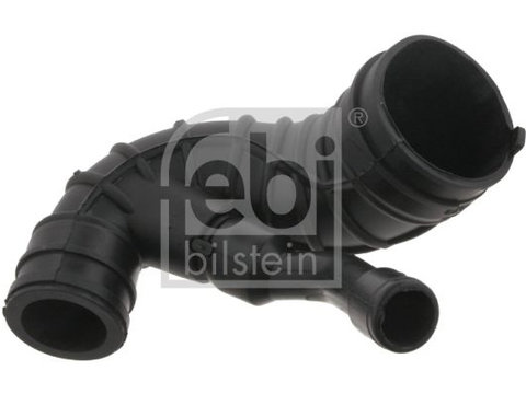 Palnie, filtru de aer FEBI BILSTEIN 32769