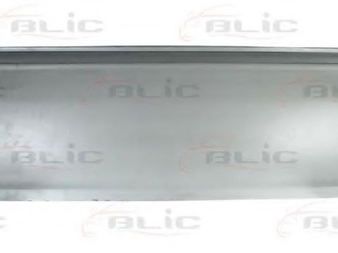 Panou lateral FIAT DUCATO caroserie (244) (2002 - 2016) BLIC 6504-03-2092013P