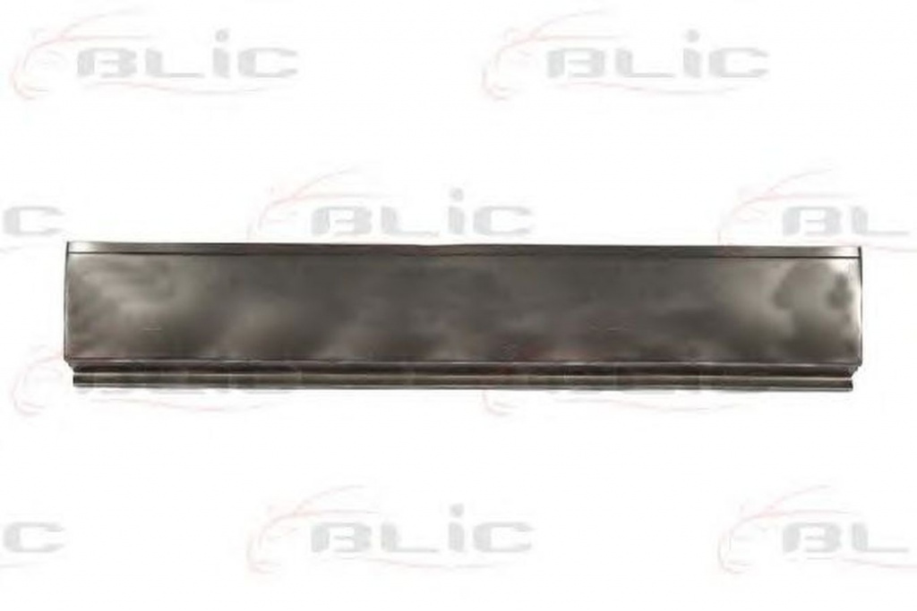 Panou lateral RENAULT MASTER III caroserie FV BLIC 6505066089012P