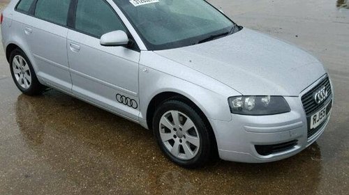 Panou sigurante Audi A3 8P 2005 Hatchbac